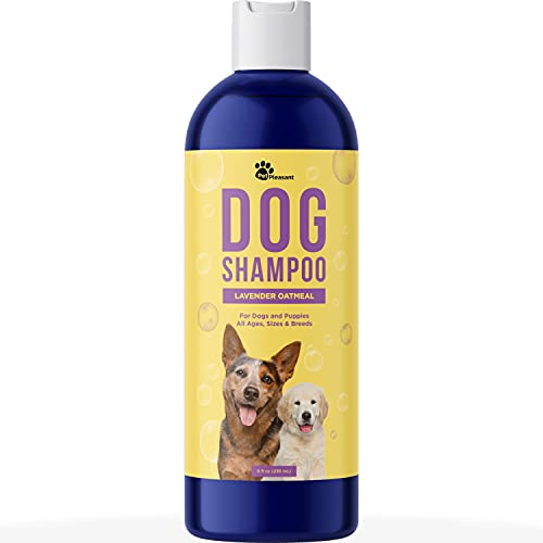 Cleansing Dog Shampoo for Smelly Dogs - Refreshing Colloidal Oatmeal Dog Shampoo for Dry Skin and...