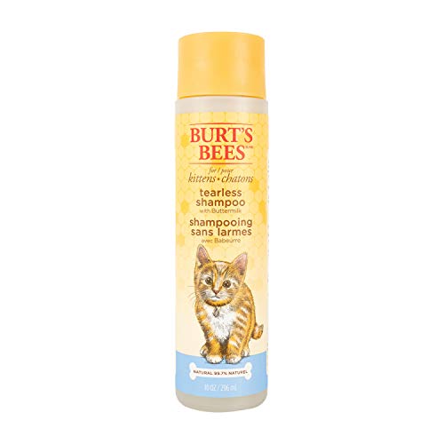 Burt's Bees for Kittens Natural Tearless Shampoo with Buttermilk | Cat Shampoo for All Cats and...