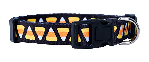 Native Pup Halloween Dog Collar (Medium, Candy Corn)