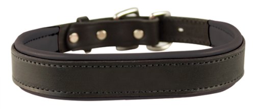 Perri's Padded Leather Dog Collar, Black/Black, Large 1.25 inch x 25 inch fitting dogs with 16 - 20...