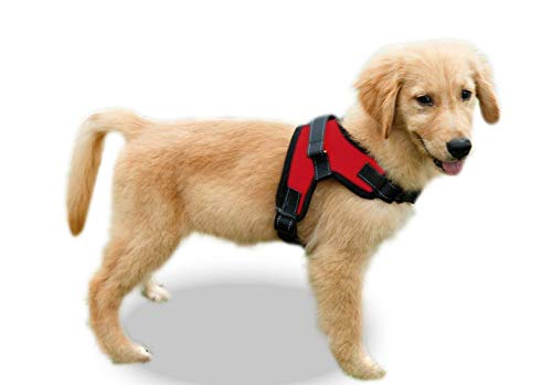 Copatchy No Pull Reflective Dog Harness (Small, red)