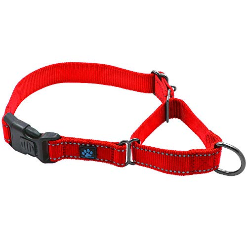Max and Neo Nylon Martingale Collar - We Donate a Collar to a Dog Rescue for Every Collar Sold...