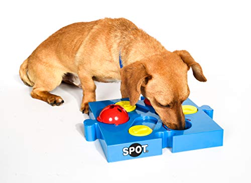 SPOT Seek-a-Treat Flip 'N Slide Treat Dispenser for Dogs | Dog Treat Dispenser | Dog Treat Dispenser...