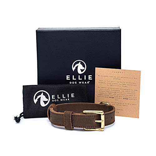 Ellie Dog Wear - Luxury 100% Full Grain Leather Dog Collar with Saddle Leather Wax Coating & Brass...