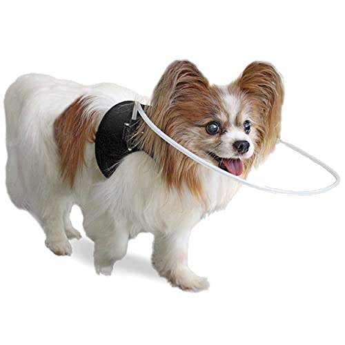 Halo Harness | Blind Harness for Dogs | Adjustable for a Custom Fit | 3XSmall for Pets Under 30 lbs...