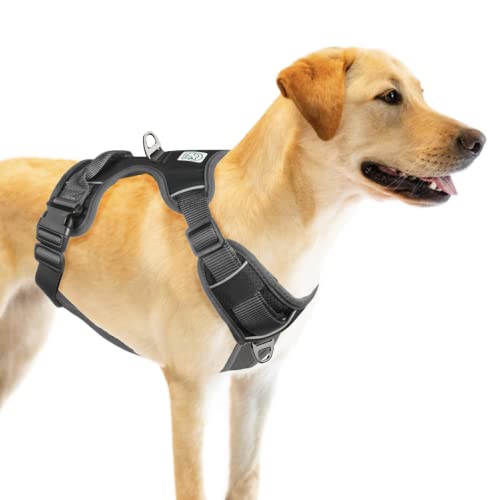 Embark Adventure XL Dog Harness No-Pull Dog Harnesses for Extra Large, Medium and Small Dogs. 2...