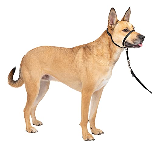 PetSafe Gentle Leader Headcollar, No-Pull Dog Collar, Perfect for Leash & Harness Training, Stops...