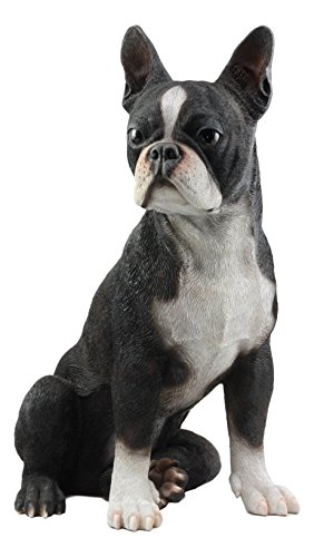 Ebros Large Lifelike Adorable Boston Terrier Dog Statue 16' Tall Fine Pedigree Dog Breed Collectible...