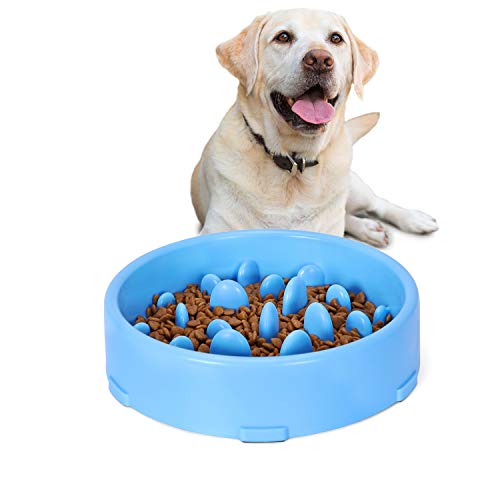 JASGOOD Slow Feeder Dog Bowl for Medium Dogs Slow Feeding Interactive Bloat Stop Dog...