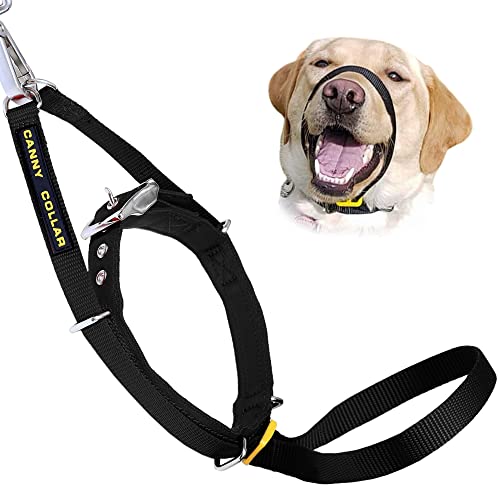 The Canny Collar for Dog Training and Walking, Helps with Dog Training and Stops Dogs Pulling on The...