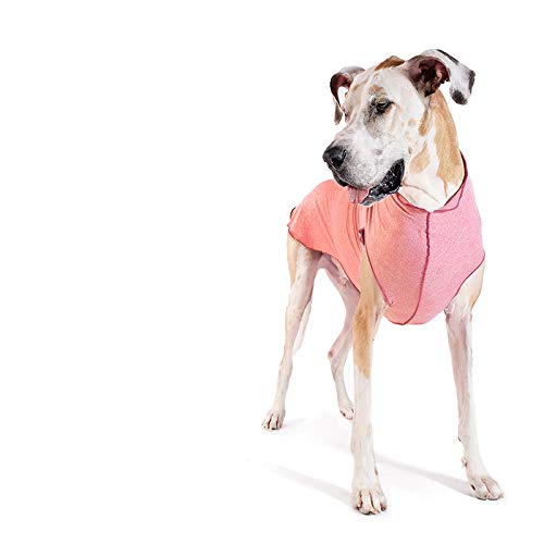 Gold Paw Sun Shield Dog Tee – T-Shirt for Canines – UV Protection, Pet Anxiety Relief, Wound...