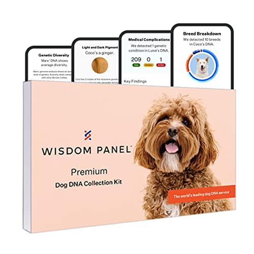 Wisdom Panel Premium, New and Improved Dog DNA Test for Comprehensive Health, Traits and Ancestry