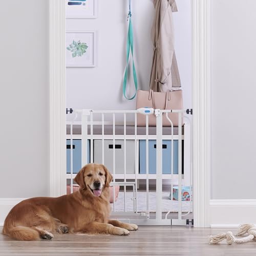 Carlson Extra Wide Walk Through Pet Gate with Small Pet Door, Includes 4-Inch Extension Kit,...