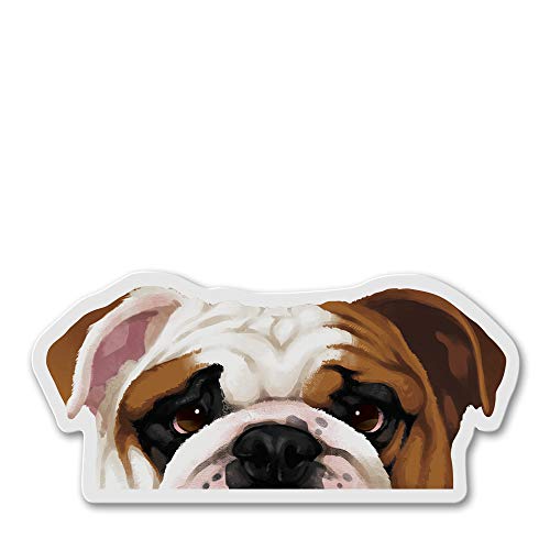 WIRESTER Fridge Magnet Decoration for Kitchen Refrigerator, English Bulldog