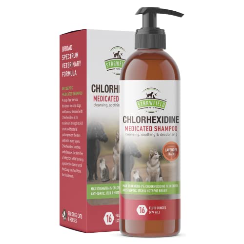 Strawfield Pets Chlorhexidine Shampoo for Dogs, Cats - 16 oz - Medicated Cat Dog Shampoo, Pet Wash...