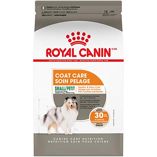 Royal Canin Coat Care Dry Food for Small Dogs, 3 lb bag