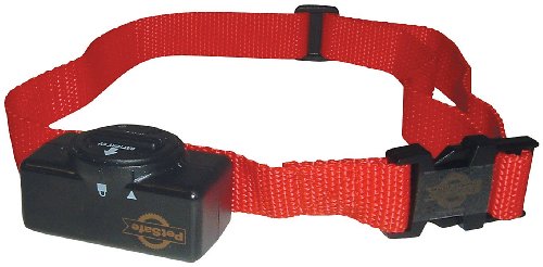 PetSafe Basic Bark Control Collar for Dogs 8 lb. and Up, Anti-Bark Training Device, Waterproof,...