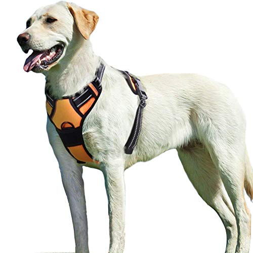 Eagloo Dog Harness for Large Dogs No Pull, Front Clip Dog Walking Harness with Reflective Adjustable...