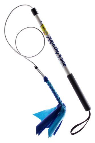 Squishy Face Studio Flirt Pole Jr V2 with Blue/Aqua Squeaker Fleece Lure - 24 inch Pole, 42 inch...