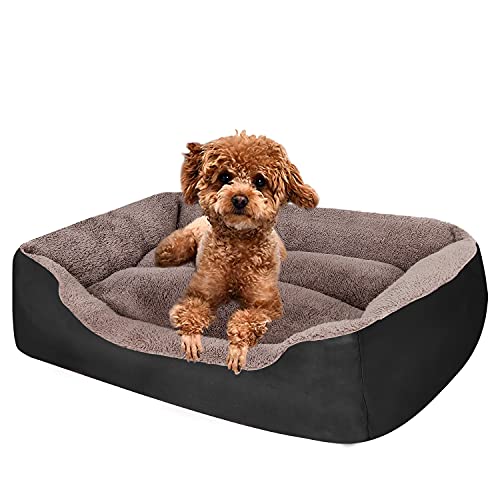 PUPPBUDD Dog Beds for Small Dogs, Rectangle Washable Dog Bed Comfortable and Breathable Pet Sofa...