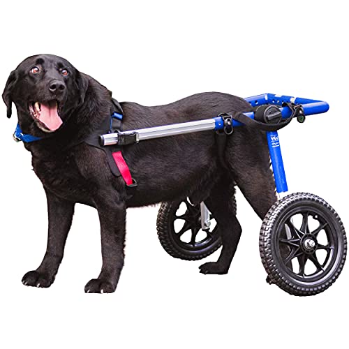 Walkin' Wheels Dog Wheelchair - for Large Dogs 70-180 Pounds - Veterinarian Approved - Dog...