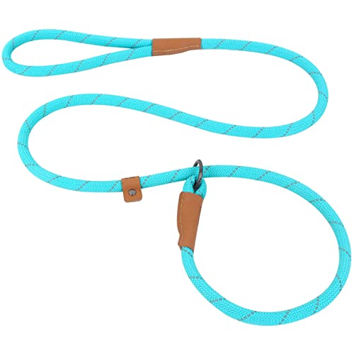 Slip Lead Dog Leash, Reflective Mountain Climbing Rope Leash, Dog Training Leash – 5FT, 2 Sizes...