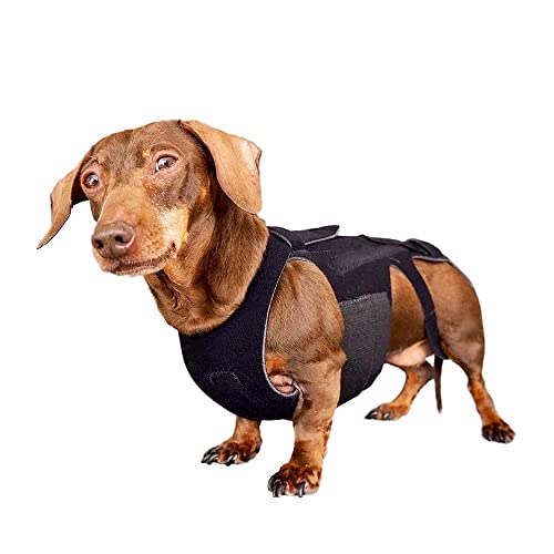 L’il Back Bracer for IVDD in Small Dogs, Arthritis, Spinal Surgical Recovery, Herniated Disc,...