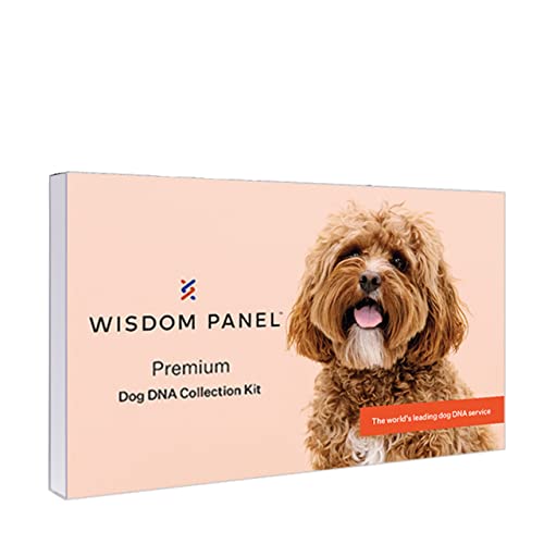 Wisdom Panel Premium: Most Comprehensive Dog DNA Test for 200+ Health Tests | Accurate Breed ID and...