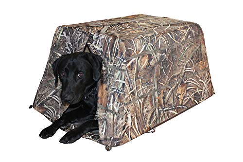 Beavertail Dog Blind