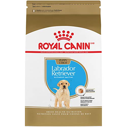 Royal Canin Breed Health Nutrition Labrador Retriever Puppy Dry Dog Food, 30 lb.