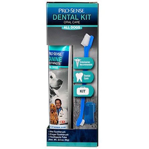 Pro-Sense Dental Starter Kit, Fresh Flavor, 3-ounce