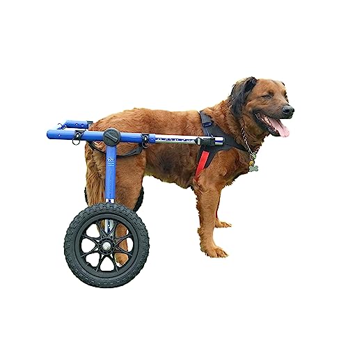 Dog Wheelchair - for Large Dogs 70-180 Pounds - Veterinarian Approved - Dog Wheelchair for Back Legs