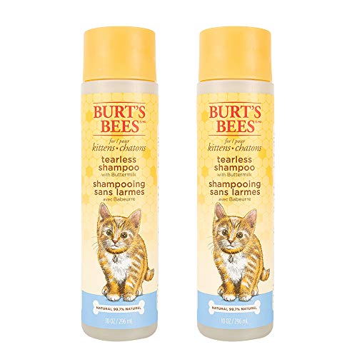 Burt's Bees for Kittens Natural Tearless Shampoo with Buttermilk | Cat Shampoo for All Cats &...