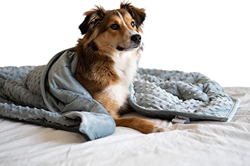 Nappy Puppy - Weighted Dog Blanket | Specially Designed for Anxious Dogs | Extra Comfortable |...
