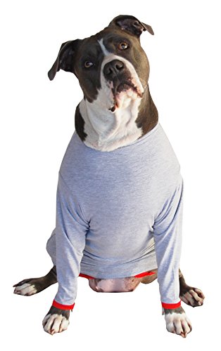 POPforPETS Post Operative Protection Shirt for Dogs (Medium) - POP for Pets Better Than The Cone!...