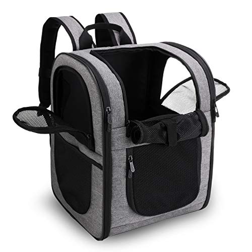 Apollo Walker Pet Carrier Backpack for Large/Small Cats and Dogs, Puppies, Safety Features and...