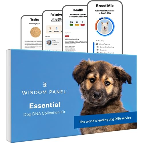 Wisdom Panel Essential Dog DNA Kit: Most Accurate Test for 350+ Breeds, 30 Genetic Health...