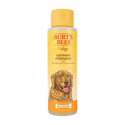 Burt's Bees for Dogs Oatmeal Dog Shampoo | With Colloidal Oat Flour & Honey | Moisturizing &...