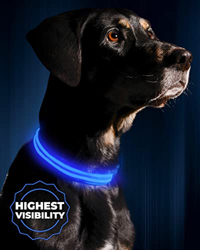 Illumiseen LED Light Up Dog Collar - Bright & High Visibility Lighted Glow Collar for Pet Night...