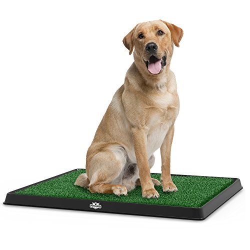 Artificial Grass Puppy Pad for Dogs and Small Pets - 20x25-Inch Reusable Training Potty Pad with...