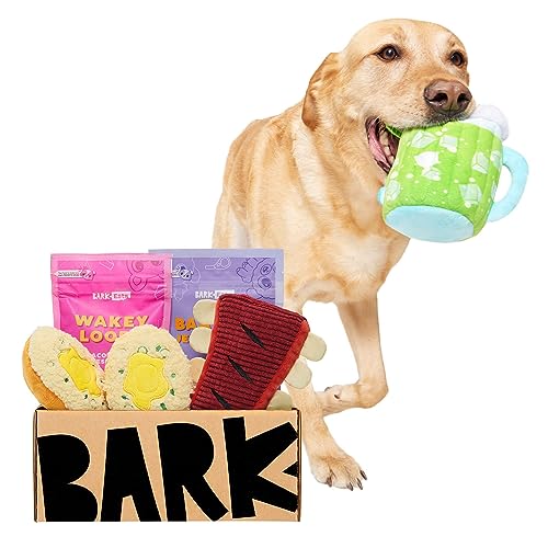 BarkBox Monthly Subscription Box, Dog Chew Toys, All Natural Dog Treats, Dental Chews, Dog Supplies...