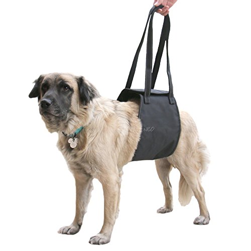 Max and Neo Dog Lift Support and Rehab Harness for Dogs with Weak Rear Legs - We Donate a Harness to...