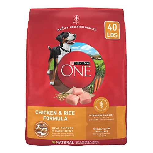 Purina ONE Chicken and Rice Formula Dry Dog Food - 40 lb. Bag