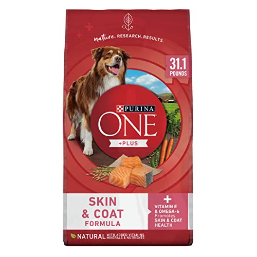 Purina ONE +Plus Adult Skin & Coat Formula Dry Dog Food - 31.1 lb. Bag