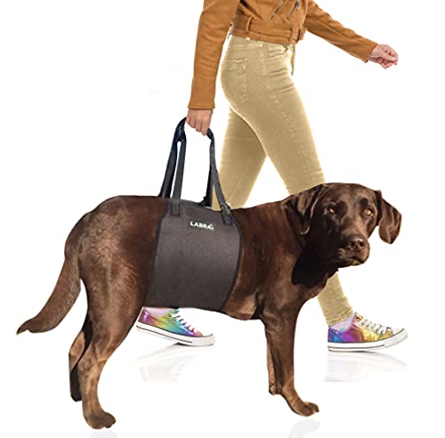 Labra Veterinarian Approved Dog Canine K9 Sling Lift with Adjustable Straps - Support Harness for...