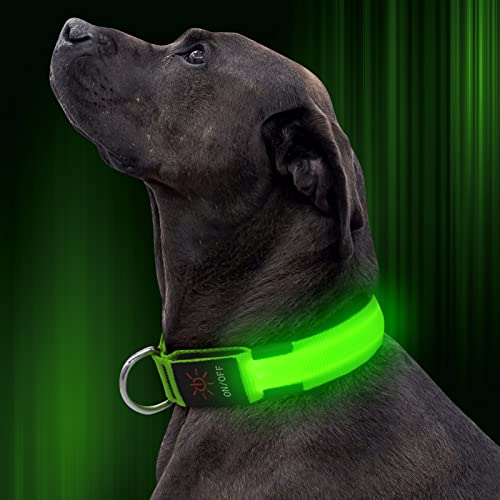 LED Dog Collar, Nylon Adjustable Light Up Collar, USB Rechargeable Glowing Dog Collar Make Your Dogs...