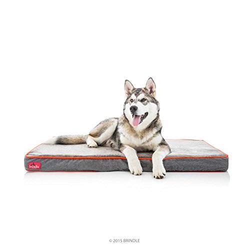Brindle Waterproof Designer Memory Foam Pet Bed-Removable Machine Washable Cover-4 Inch Orthopedic...