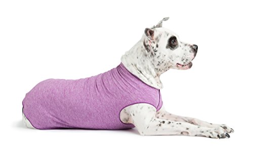 Gold Paw Sun Shield Dog Tee – T-Shirt for Canines – UV Protection, Pet Anxiety Relief, Wound...