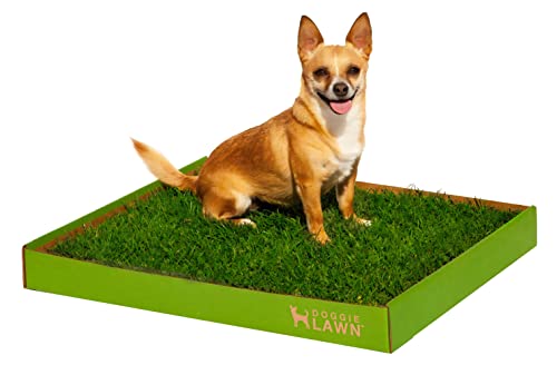 DoggieLawn Real Grass Puppy Pee Pads - 24 x 20 Inches - Perfect Indoor Litter Box for Dogs - No...