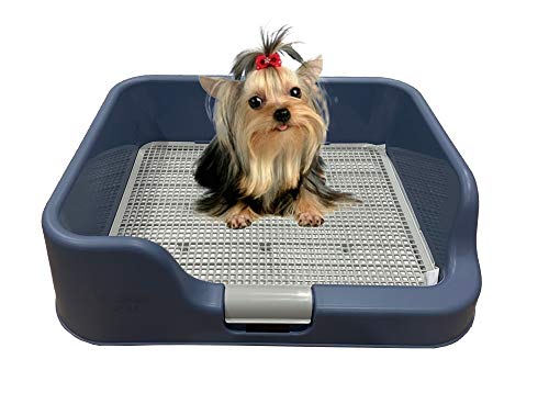 [PS KOREA] Indoor Dog Potty Tray – with Protection Wall Every Side for No Leak, Spill, Accident -...